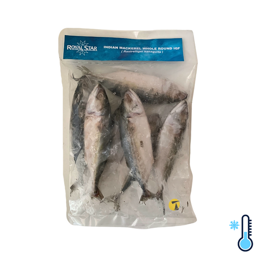 Nortrade Royal Star Indian Mackerel Whole Round (4/8) - 10 x 1kg [FROZEN]