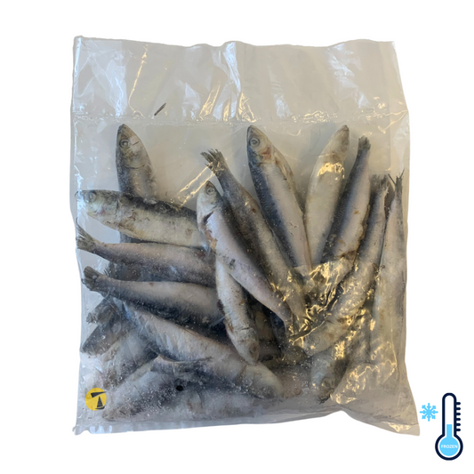 Fastnet Sardines Unglazed IQF - 5x1kg [FROZEN]