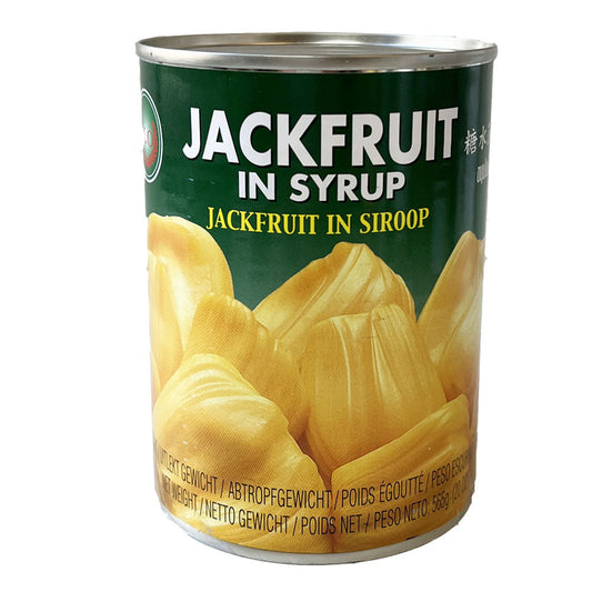 X.O Jackfruit in Syrup - 24x565g